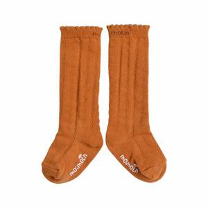 [모이몰른]리햄반타이즈 M251TII07P