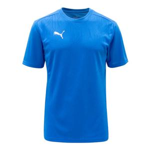 푸마 팀파이널 트레이닝 저지(65855702)