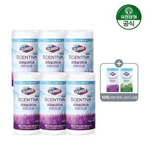 센티바 세정살균티슈 라벤다 95매*6통+사은품 10매 총 580매