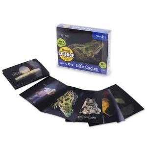(러닝리소스)무빙 라이프 사이클 카드(동식물의 한살이)/LER2928