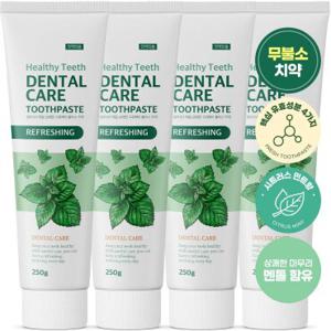 [치태제거] 쉼표365 상쾌한 구취케어 대용량 치약 250g x 4개입 잇몸케어 무불소 입냄새제거