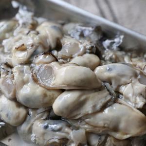 당일조업 산지직송 통영에서 온 햇 생굴 2kg