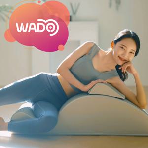 [와두]바로스파인 프로 Pro 스파인코렉터