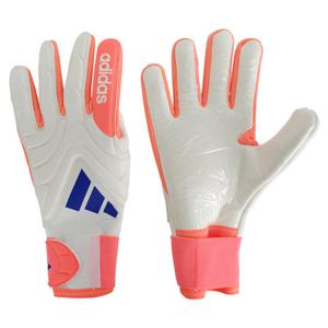 코파 글러브 리그 골키퍼장갑(JN5343)