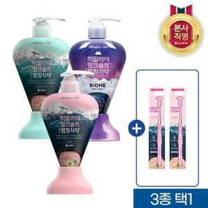 죽염 히말라야 핑크솔트 펌핑치약 285g 2개(바이옴/아이스/플로럴)+칫솔2개 3종 택1