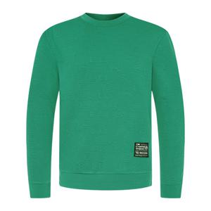 [까스텔바작] 남성 에그블라종 로고 엠보 JQD 맨투맨_BGDSTL009GR