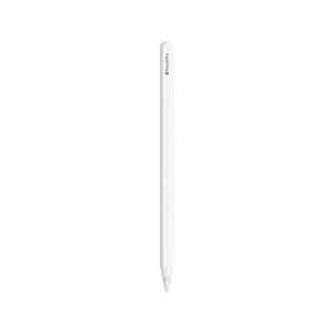 Apple 애플펜슬 프로 - [MX2D3KH/A]
