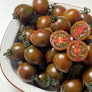 [밋앤밀] 부산 대저 흑대추 방울토마토 혼합과 2kg