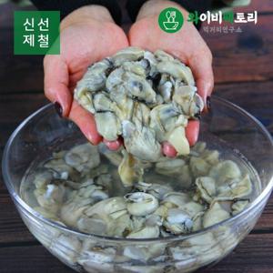 남해 고흥 자연산 생굴 1kg