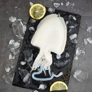 [물맛남 갑오징어] 국내산 손질 갑오징어 1kgx1팩 (5-10미내외)