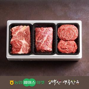 [냉장][농협영주한우]실속 가족 정육혼합세트5호 (등심/불고기/국거리(양지)) / 1.2kg