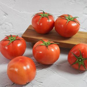 [더조은] 국내산 완숙찰토마토 2kg