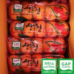 저탄소 지리산 호랑이 줄단감 5kg(중과)