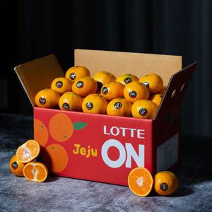 롯픽 블랙라벨 고당도 타이벡 감귤 로얄과 프리미엄소과 3kg 4.5kg(실중량)_APP전용