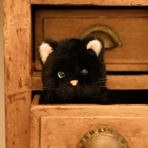 레나캣 탄냥이 s