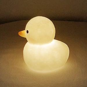 쪼꼬미 캐릭터 무드등 오리 귀여운 실내 조명 은은한 수면등 침실 카페 소품