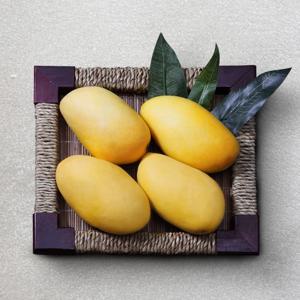 프리미엄 태국망고 1kg내외 (2~4과)