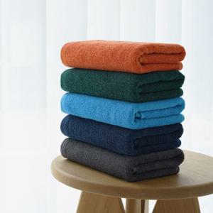 애슐리모던 30수 150g 컬러라이트 고급 호텔수건 10장세트