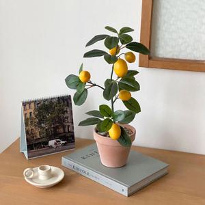 프레쉬 레몬나무 조화 화분 세트 2colors 열매 가지 이태리 토분