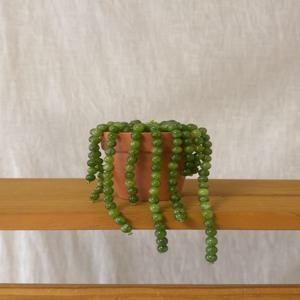 자체제작 인조 인테리어 비즈식물 리얼 콩란 (DIY/완제품)