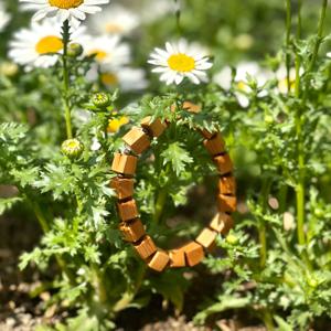 주목나무 큐브팔찌 장수 소원성취 염주 행운 행복 가족 건강 액막이 재물운 금전운