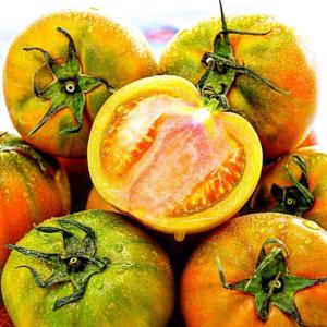 부산 대저토마토 2.5kg 짭짤이/찰토마토