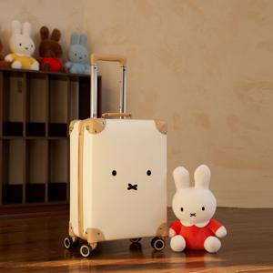 귀여운 미니 작은 캐리어 핸드 여행용 캐리어 45cm(18인치) 기내용