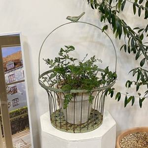 쉐비 버드 철제 화분 바구니 바스켓 화분대 정리대 그린 홀더