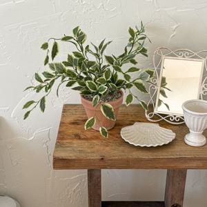 슬로무드 무늬 벤자민 조화 화분