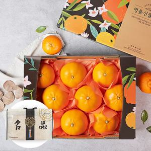 부직포가방포장 제주 천혜향 2.6kg 6-9과 과일선물세트