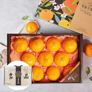 부직포가방포장 제주 천혜향 4.5kg 10-14과 과일선물세트