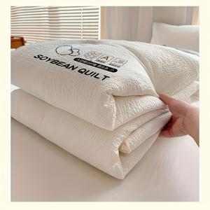 TEMU 버블 얀 여름 이불 에어컨용 이불 세탁 가능 더블 씬 블랭킷 코어 기숙사 싱글