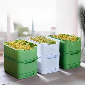 TEMU 2개입 주방 콩 sprouting 트레이, 뚜껑 디자인 식물 재배 발아 포트, 밀도 메시, 노란색 및 녹색 콩 sprouting 및 고양이 잔디 재배를 위한 대용량 도구