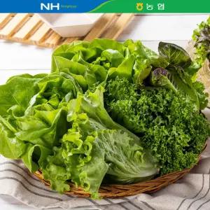 당일수확 유러피안 샐러드 1kg(4종) / GAP인증