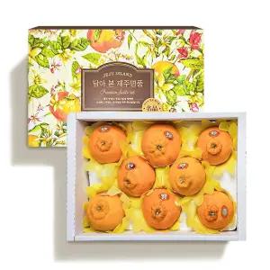 [아침이슬농원] 제주 프리미엄 선물세트 한라봉 5kg(12-17과/260-320g/부직포미포함)