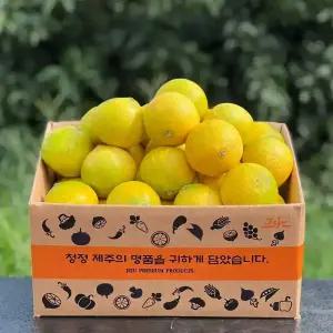 프리미엄 제주귤 황금향 5KG 꽉찬 과즙 달콤한 제철 감귤 명품 과일 천혜향 레드향 한라봉 카라향