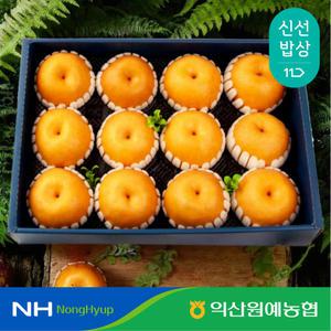 [익산원예농협] 배 프리미엄 명절 선물 세트 7.5kg 특 12과 내외