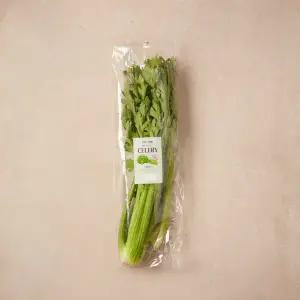 셀러리 500g