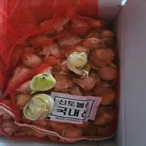 2025년 6월수확 코끼리마늘 1kg(종자용), 2묶음
