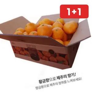 명절 설날 제주 황금향3kg 가정용흠과 실중량2.5kg 귤 (1+1)