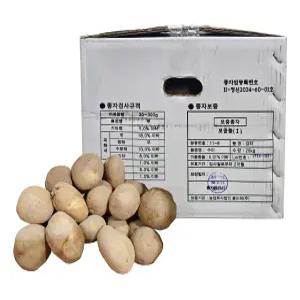 강원도 왕산면 수미 씨감자 10kg 감자씨 생물