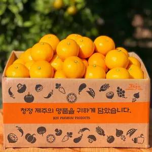 제주 타이벡 감귤 효돈 2.5kg/4.5kg/9kg