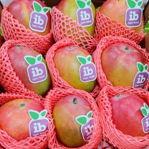 선물세트 선물용 애플망고 4kg