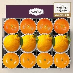 [라라르떼](센텀시티점)[명절이후배송][가든 12호] 한라봉(330g) 4입+천혜향(330g) 4입+레드향(330g) 4...