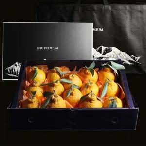 (명절세트) 제주 명품 한라봉 3kg 선물세트 대과 06-10과