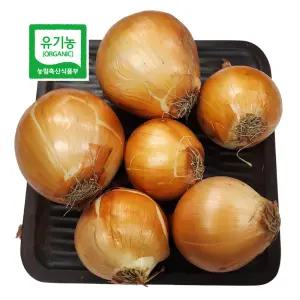 친환경 유기농 양파 3kg