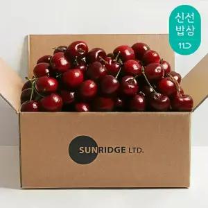 직수입 칠레산 생체리 10R 9.5R 9R 크기별 2kg