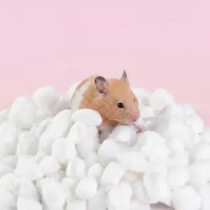 오늘도 뒹굴뒹굴 햄스터 소동물용 솜베딩