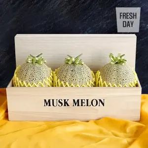 국내산 머스크메론 선물세트 명품2호 (5kg/3입)