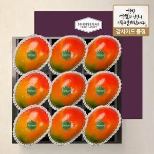 [라라르떼](센텀시티점)[브리즈 2호] 애플망고(400g) 9입